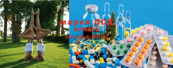 гашик Баксан