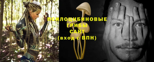 apvp Балахна