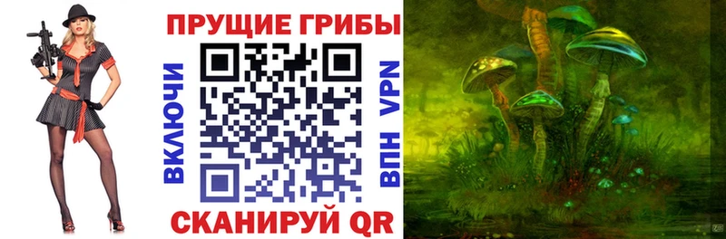 Псилоцибиновые грибы ЛСД  Горнозаводск 